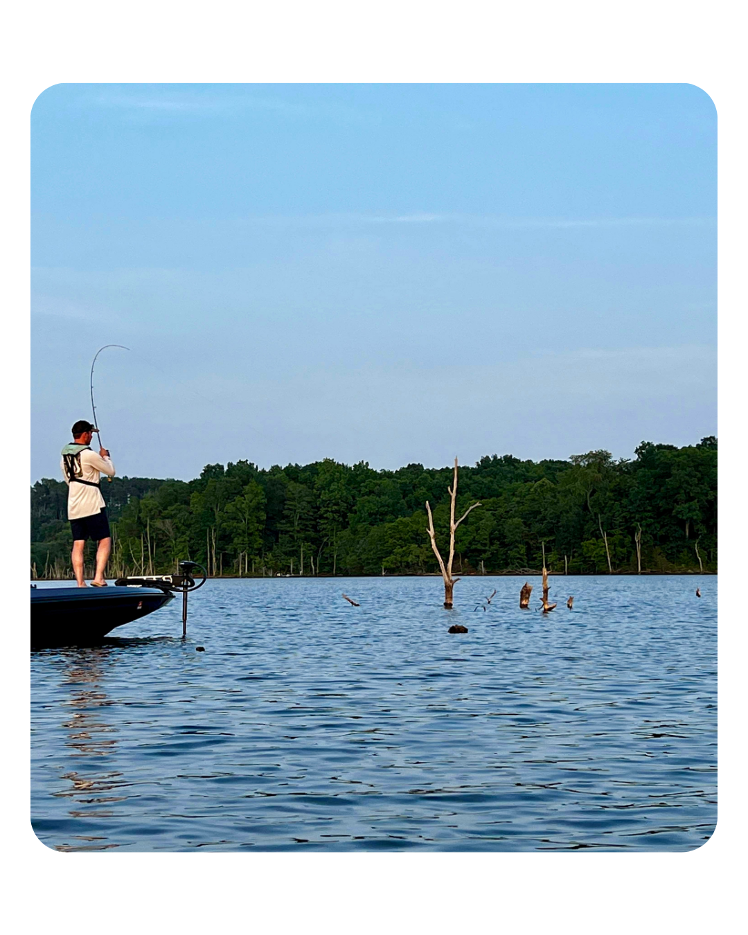 Classic Series - 7’ ML - Drop Shot/All Around Finesse Rod